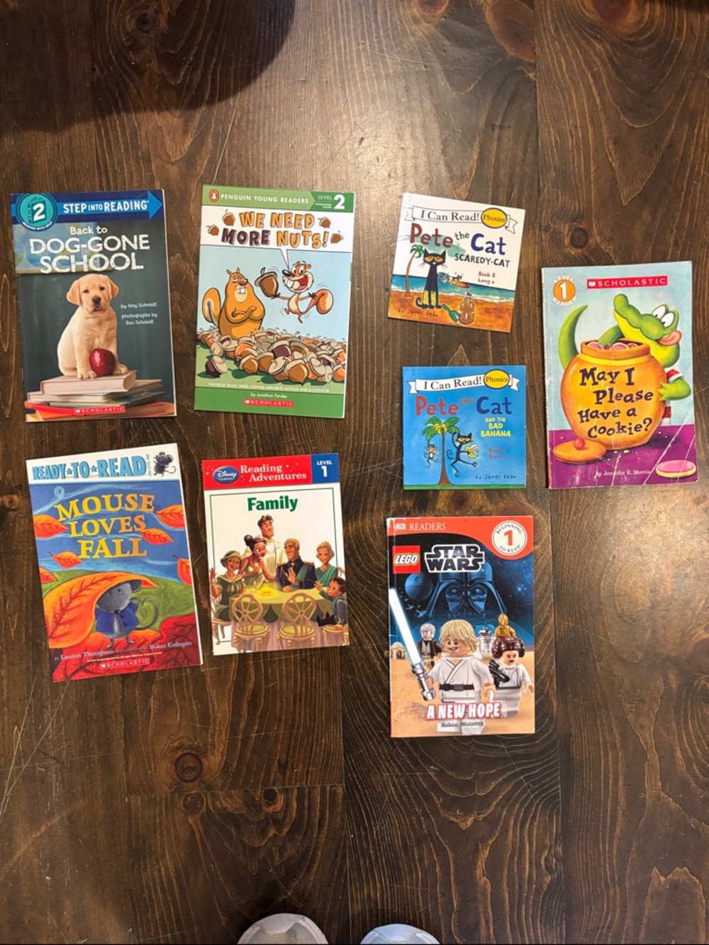 Beginner Book Set - Multicolor Collection - Picture 4 of 4